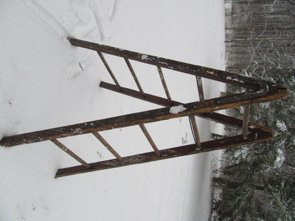 OLD STEP LADDER NUMBER 50 ON SIDE