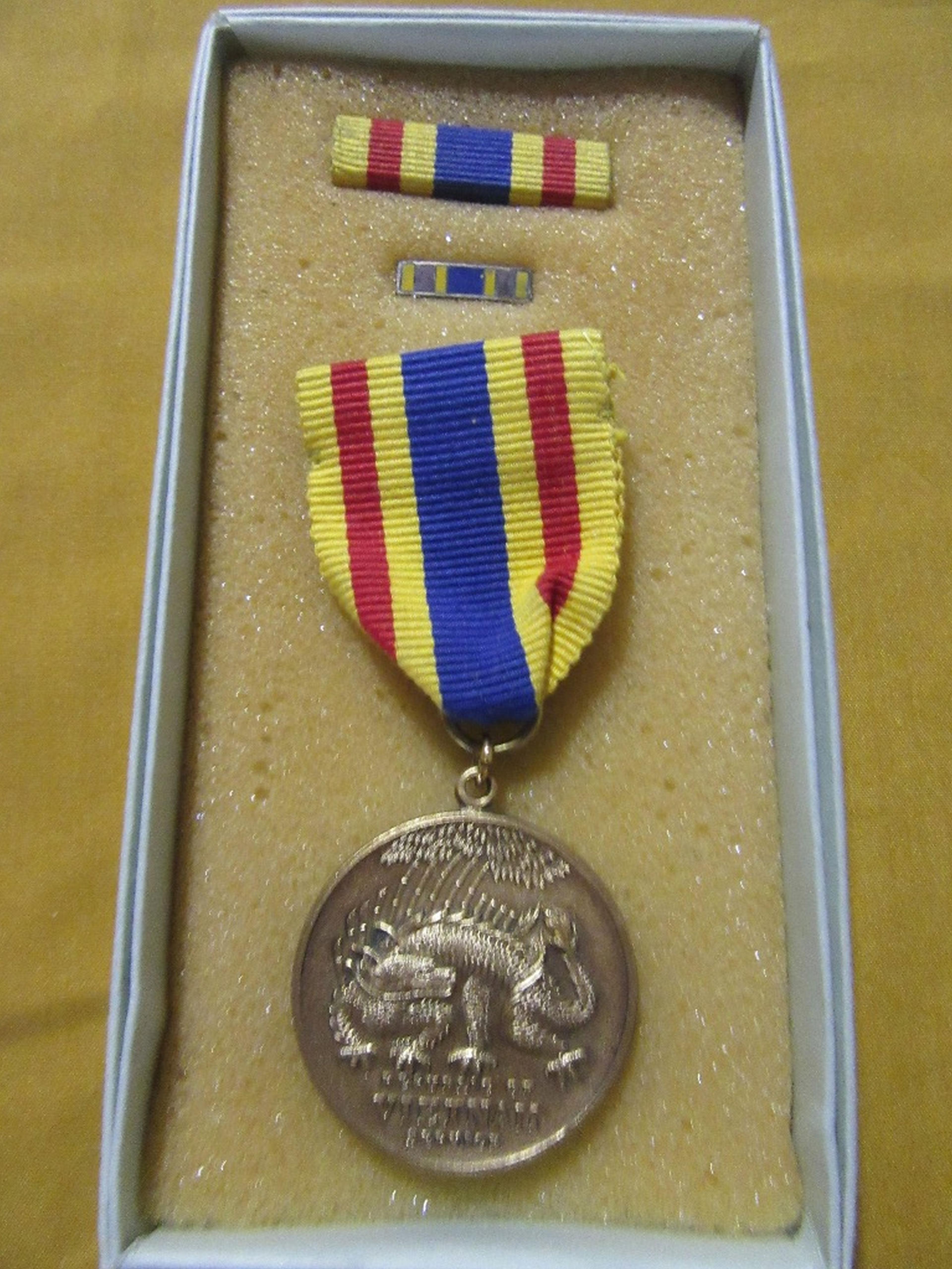 SERVICE IN VIETNAM RIBBON AND PINS