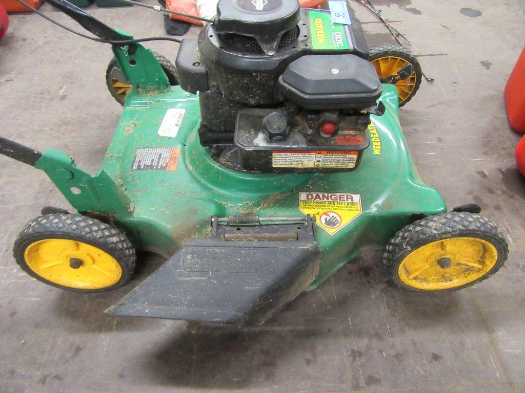 BRIGGS AND STRATTON WEED EATER 300 SERIES