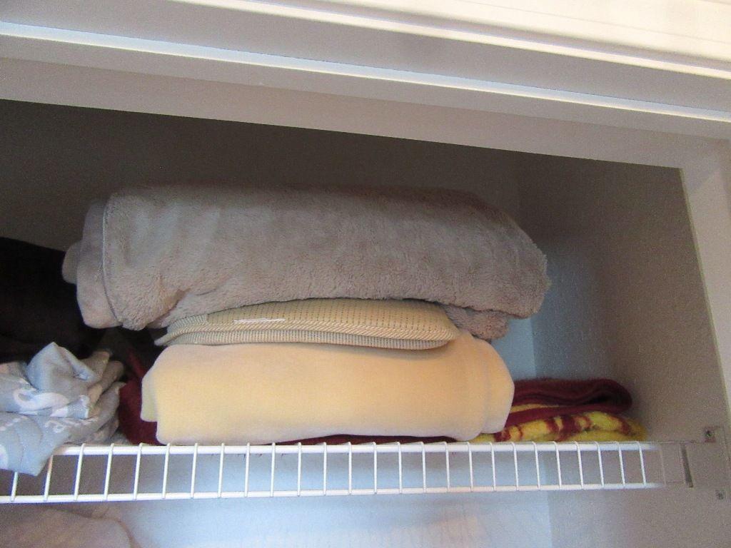 CONTENTS OF LINEN CLOSET INCLUDING BLANKETS, SHEETS, AND ETC