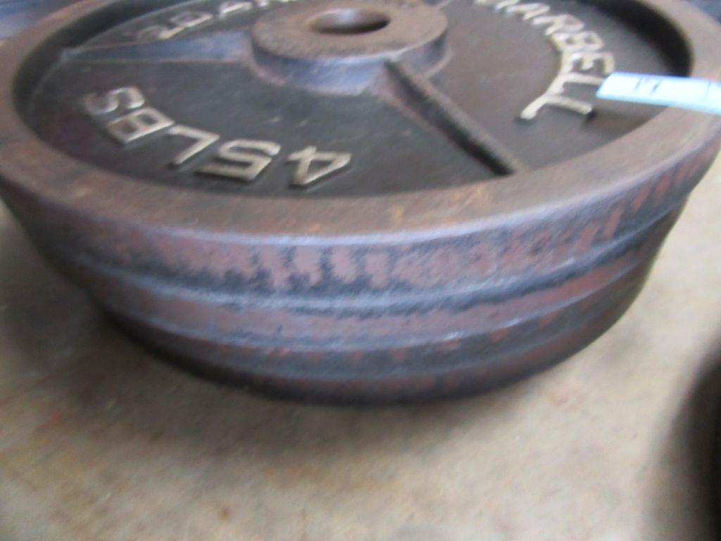 (4) 45 LB STEEL FREE WEIGHTS