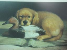 DOG WITH DUCK DECOY PRINT BY KLOETZKE 2005. 254/600