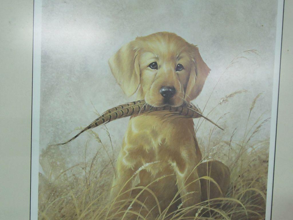 DOG WITH FEATHER PRINT BY L. R. KATZ 1987 589/600