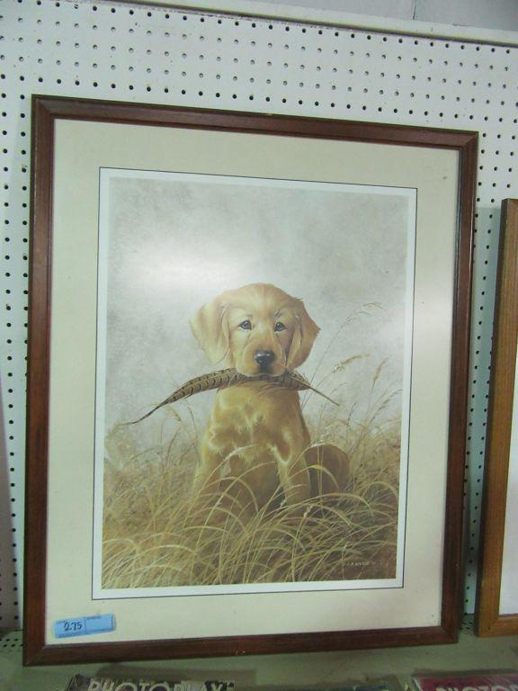 DOG WITH FEATHER PRINT BY L. R. KATZ 1987 589/600