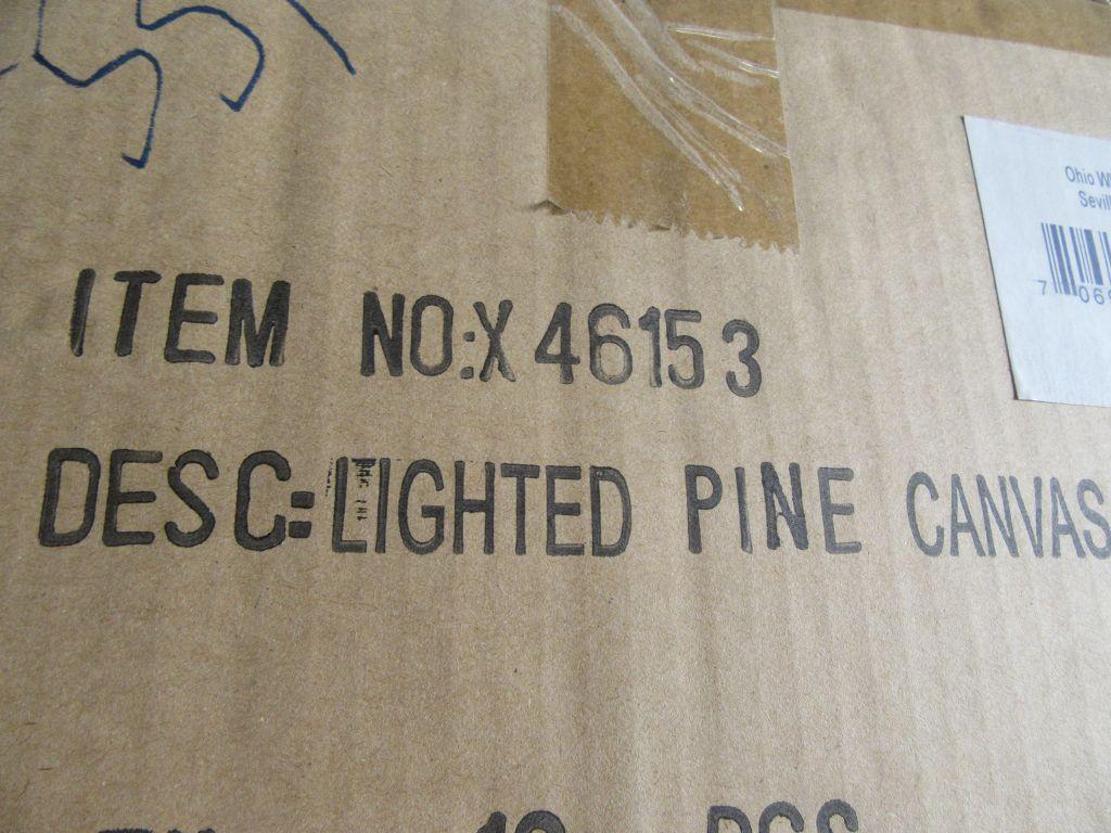 1 LIGHTED PINE CANVAS