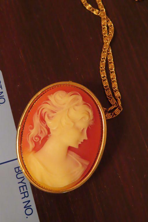 CAMEO STYLE NECKLACE OR BROACH