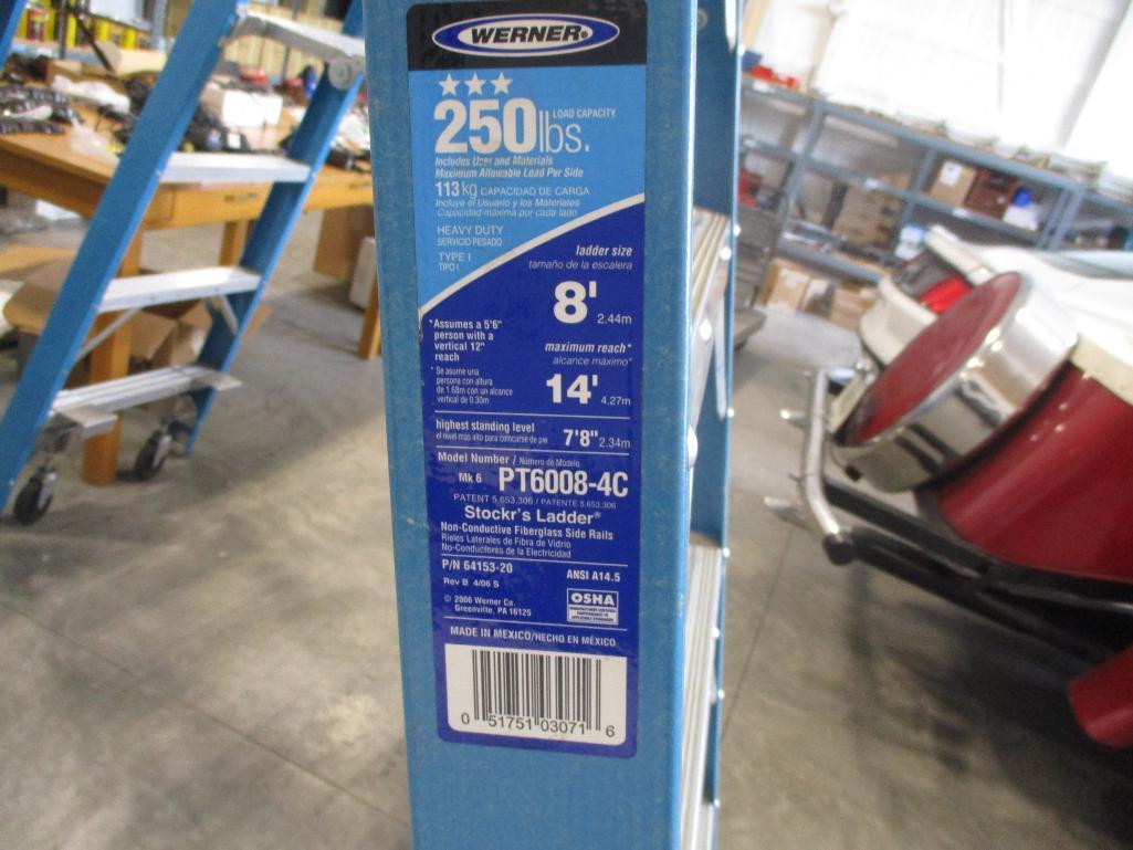 WERNER 8' FIBERGLASS STOCKING LADDER