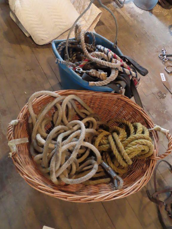 variety of horse tack including ropes. leads and Etc