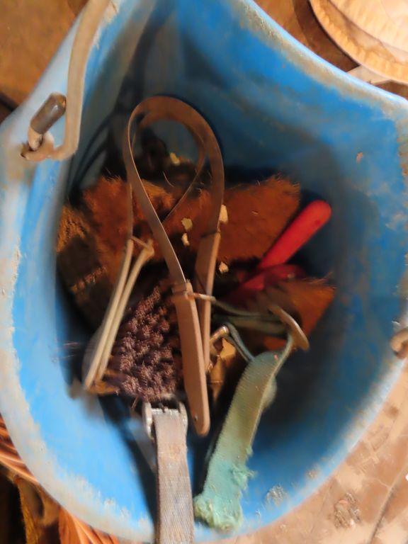 variety of horse tack including ropes. leads and Etc