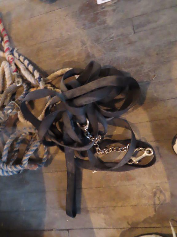 variety of horse tack including ropes. leads and Etc