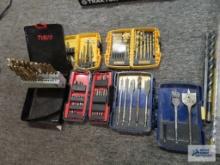 Lot of bits and drill bits