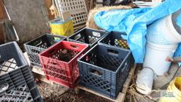 assorted plastic crates