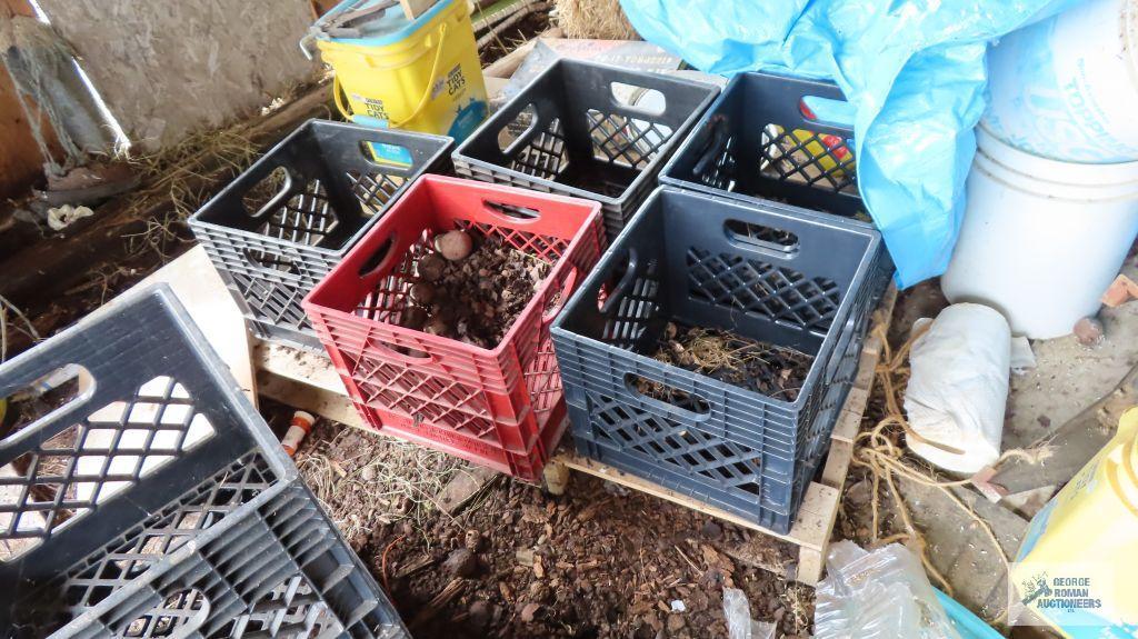 assorted plastic crates