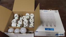 Lot of assorted light bulbs