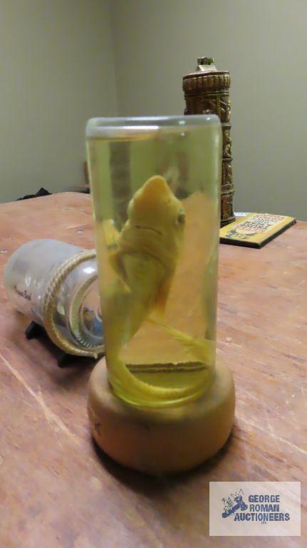 Shark display and ship in a bottle Virginia Beach souvenir