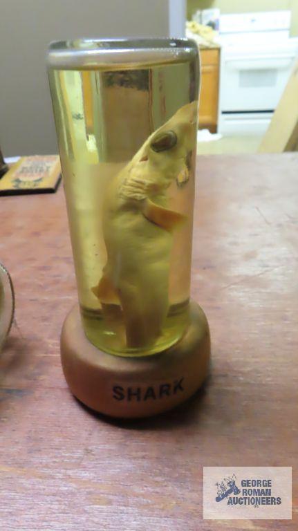 Shark display and ship in a bottle Virginia Beach souvenir