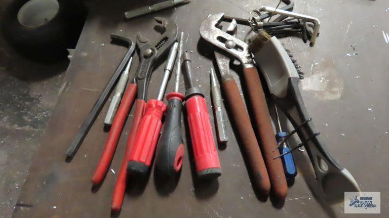 Pliers, Allen wrenches, etc