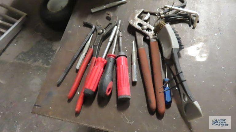 Pliers, Allen wrenches, etc