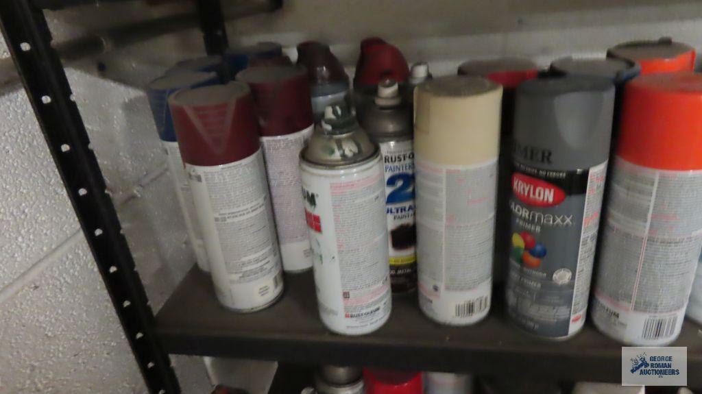 Lot of spray paints with shelf