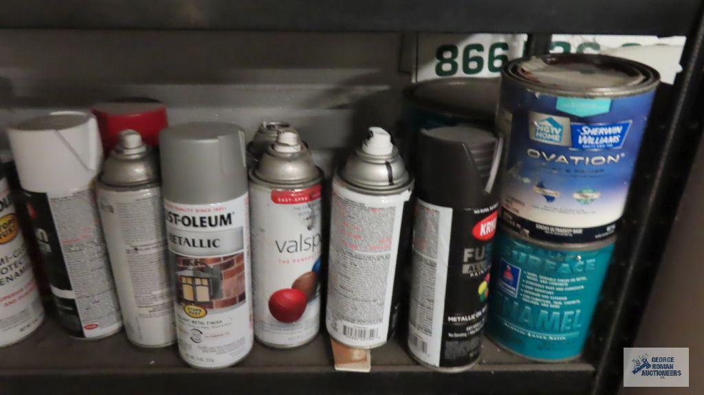 Lot of spray paints with shelf