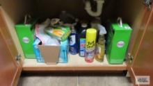 Lot of cleaning supplies under sink