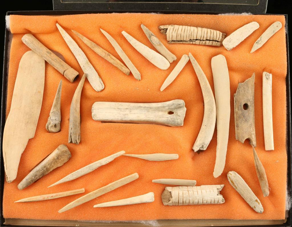 Collection of Bone Tools