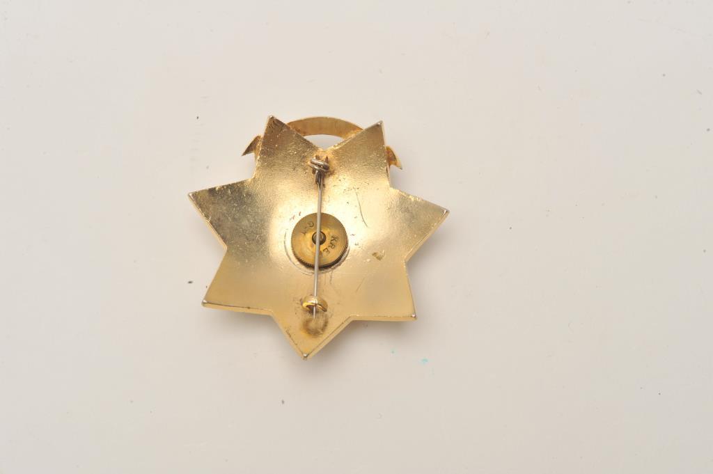 18DC-151 INSP. BADGE