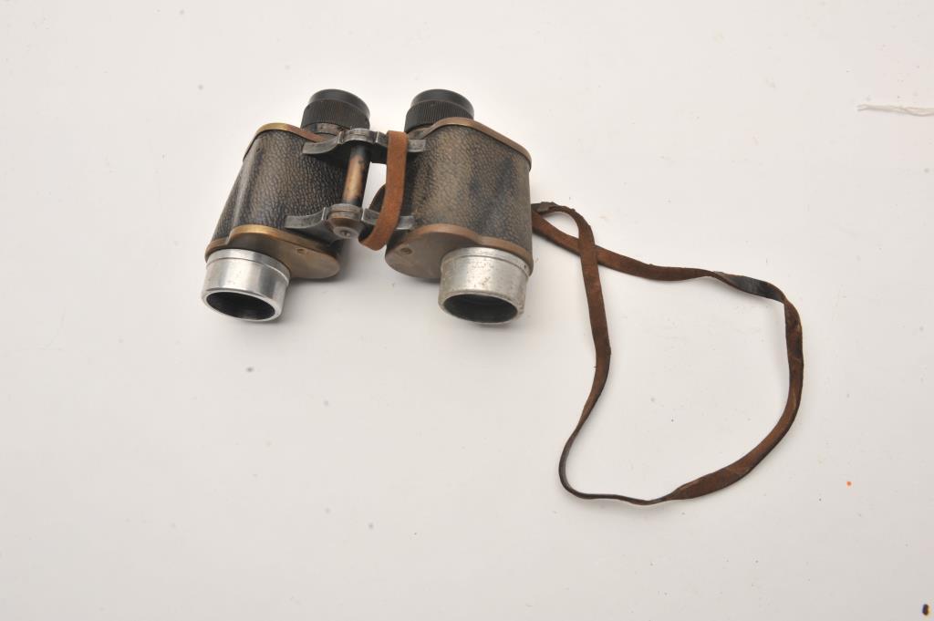 19EZ-543 BINOCULAR LOT