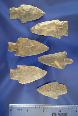 Set of 6 Assorted Flint Arrowheads found in Kentucky. Largest is 2 3/16".