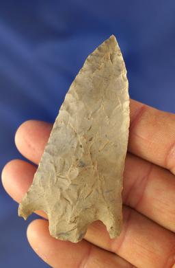 Excellent style and flaking on this 3" Eva found in Trigg Co., Kentucky.