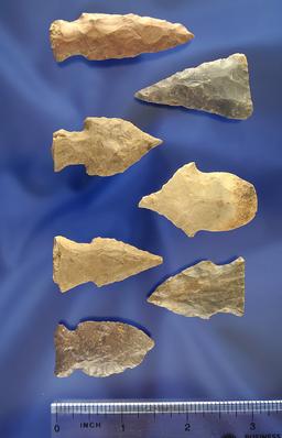 Set of 7 assorted Arrowheads found in Trigg Co., Kentucky.  Largest is 2 1/16".