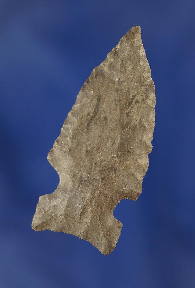 1 7/8" Archaic Sidenotch found in Trigg Co., Kentucky.Ex. Staples Collection.