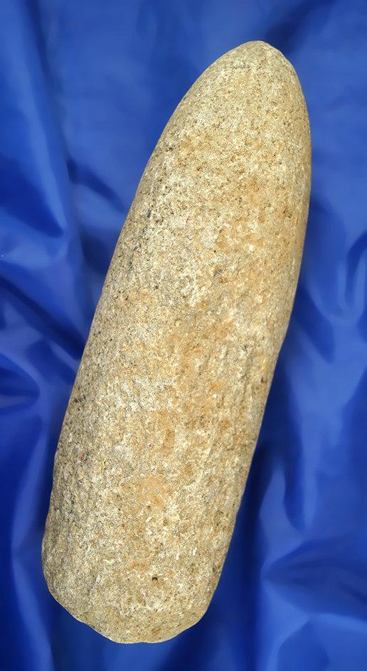 Very large and heavy 11 1/4" Pestle found near the Columbia River. Ex. Milton Tuck collection