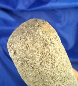 Very large and heavy 11 1/4" Pestle found near the Columbia River. Ex. Milton Tuck collection