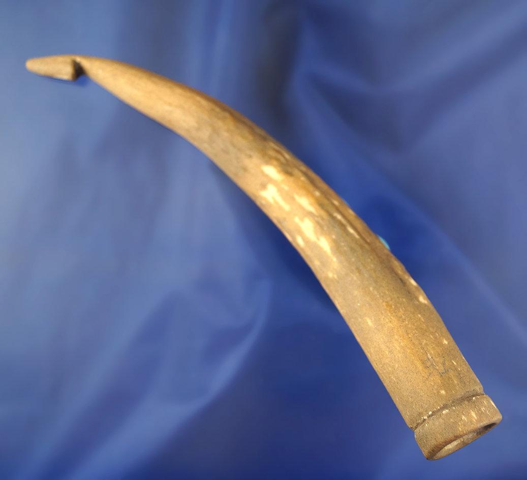 Rare! 6 3/4" Long Deer Antler Atlatl Hook found in Harrison Co., Ohio. Comes with a Partain COA.