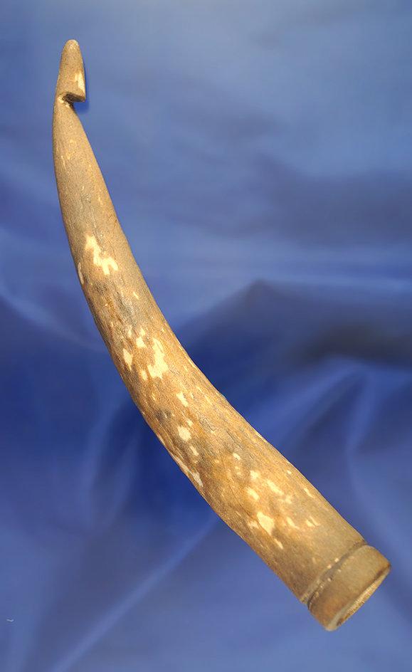 Rare! 6 3/4" Long Deer Antler Atlatl Hook found in Harrison Co., Ohio. Comes with a Partain COA.