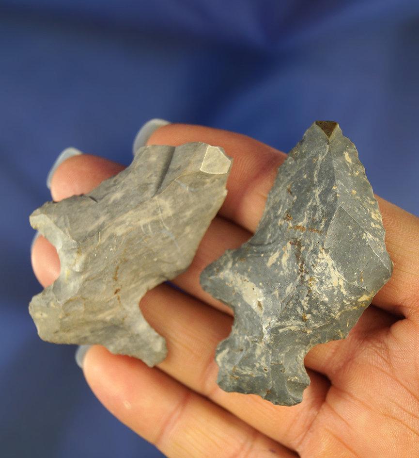 Pair of Coshocton Flint Hafted Shaft Scrapers found in Ohio, largest is 2 3/8".