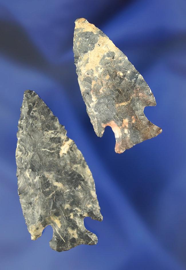 Pair of very thin Intrusive Mount points found in Delaware Co., Ohio. Largest is 2 3/16".