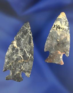 Pair of very thin Intrusive Mount points found in Delaware Co., Ohio. Largest is 2 3/16".