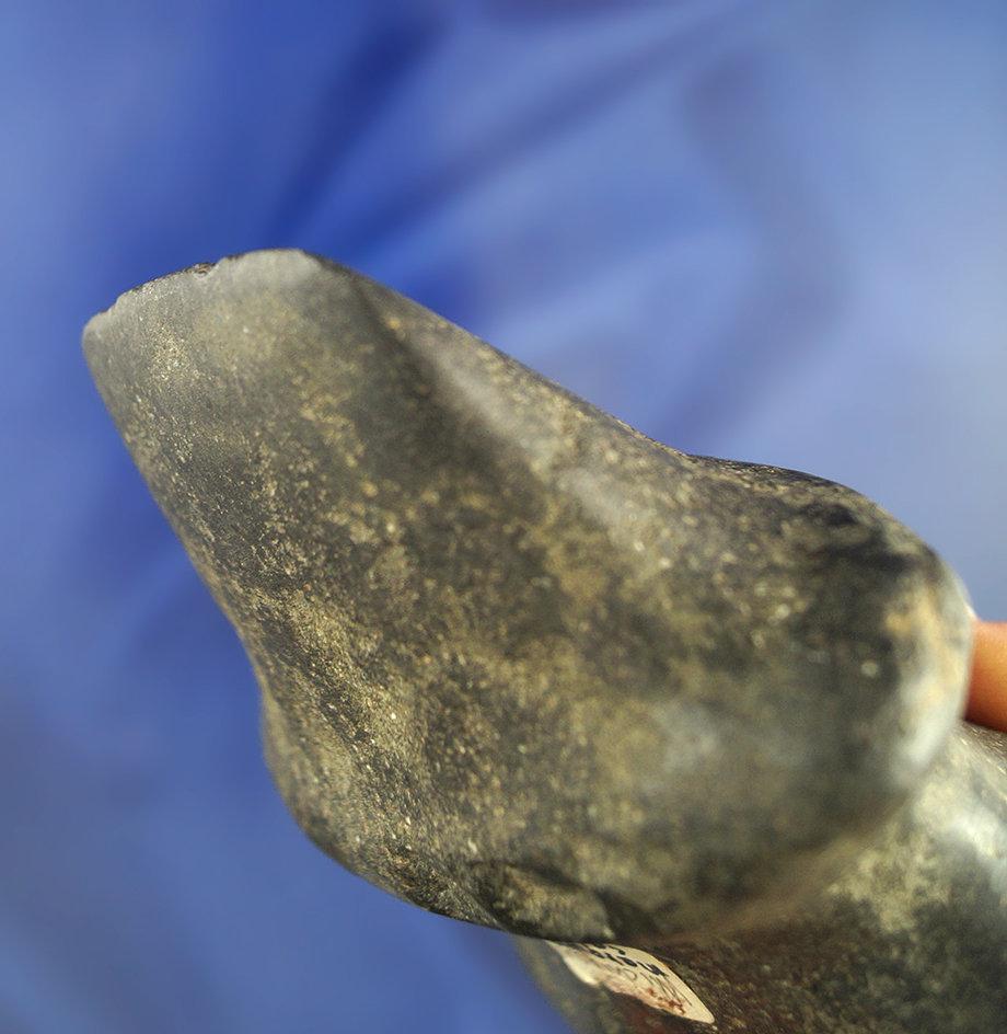 Rare! 5 5/16" Hardstone Trophy Axe found in Marquette Co., Michigan that is well patinated.