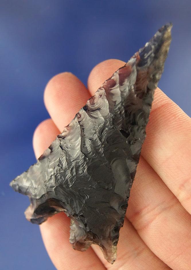 Big! 2 13/16" Pinto Basin made from Obsidian. Found near Boundary Peak, Nevada. Stermer COA.