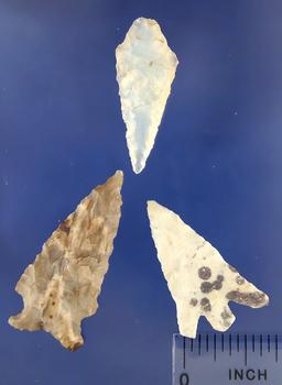 Set of 3 Arrowheads - largest is 1 7/16", found near the Columbia River. Ex. Bill Peterson Collectio
