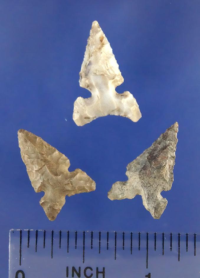 Set of 3 Desert Sidenotch points found in Oregon.  Largest is 3/4".