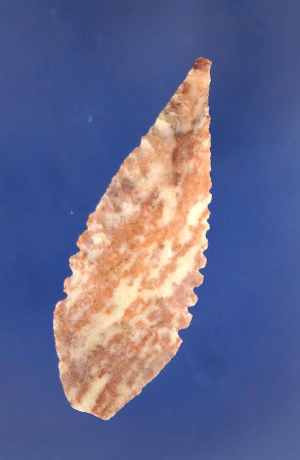 1 7/8" Leaf Point made from attractive material, found near the Columbia River. Ex. Bill Peterson.
