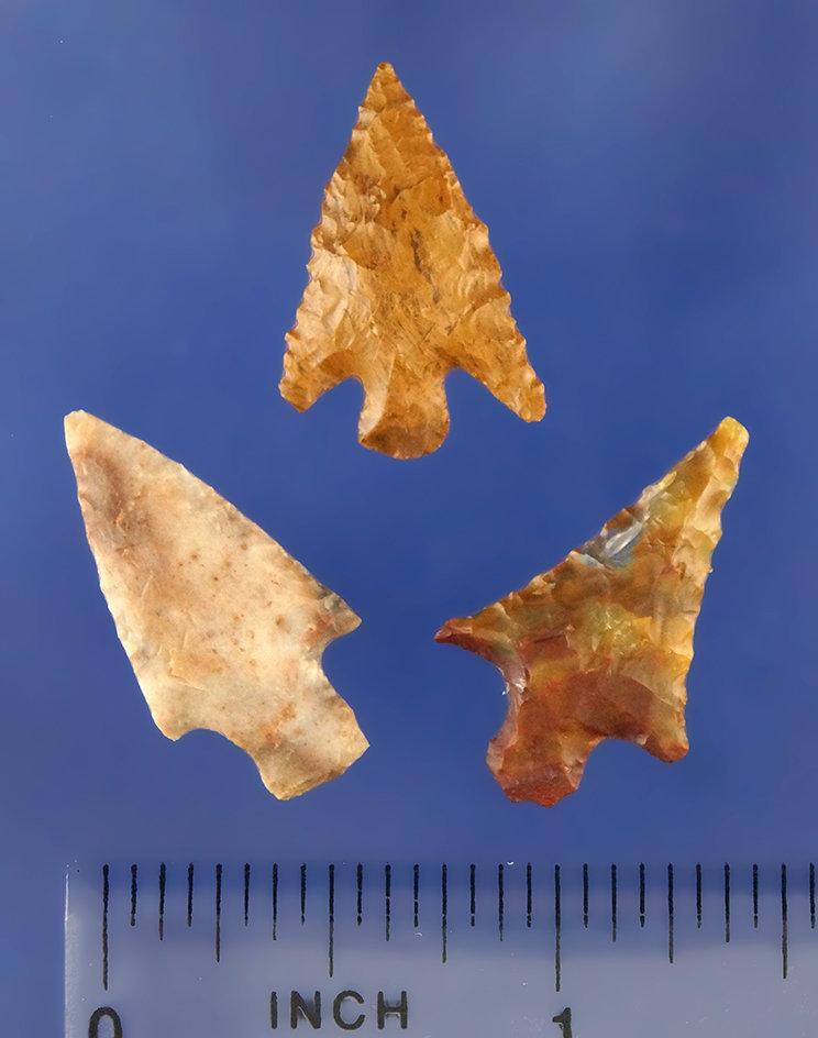 Set of 3 Gempoints found near the Columbia River- largest is 1". Ex. Bill Peterson Collection.