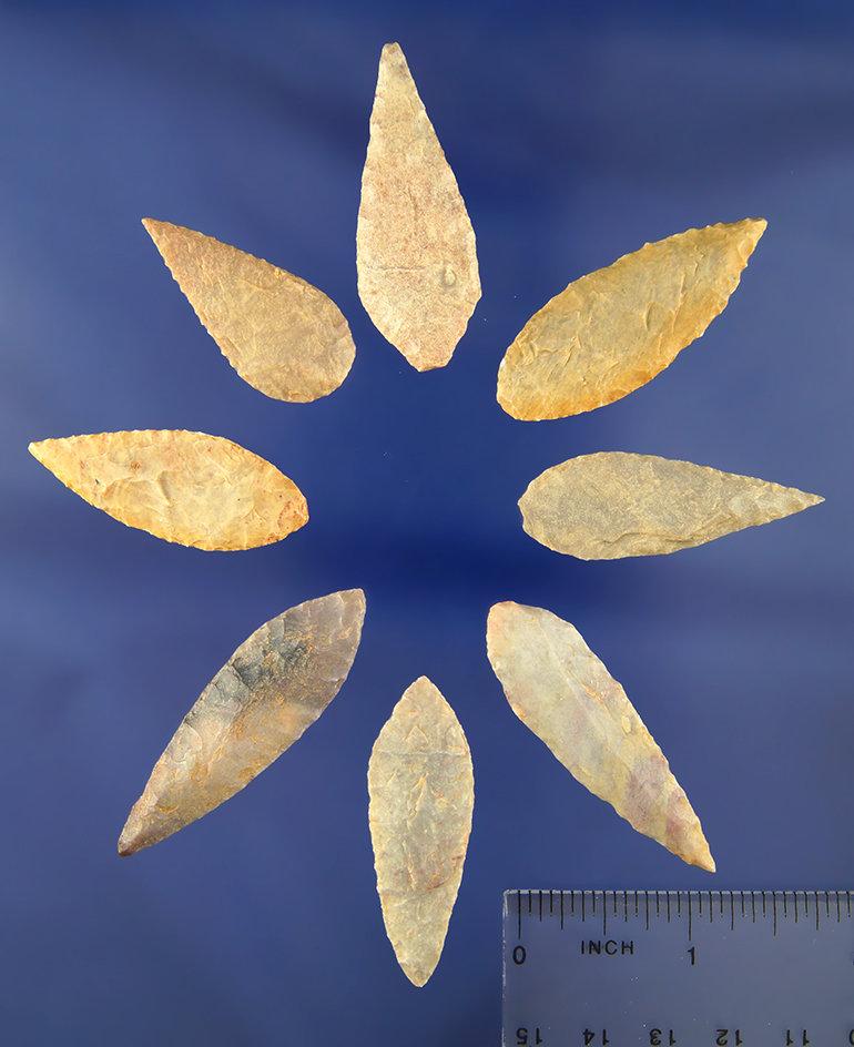 Set of eight well flaked Neolithic arrowheads from the northern Sahara region of Africa.