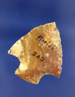 1 3/4" Arrowhead made from Agatized Coral found in Florida.
