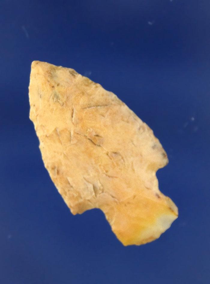 "1 1/2"" Stemmed Arrowhead that is nicely made found near The Dalles near the Columbia River.