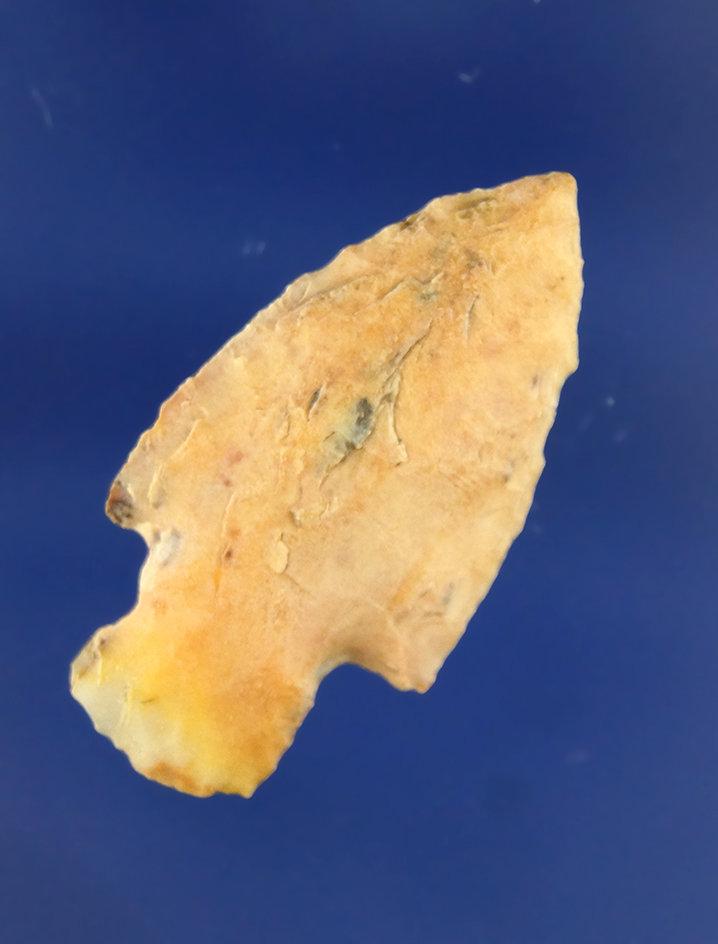 "1 1/2"" Stemmed Arrowhead that is nicely made found near The Dalles near the Columbia River.