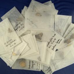 50 Skippers unmounted  in wax paper envelopes.